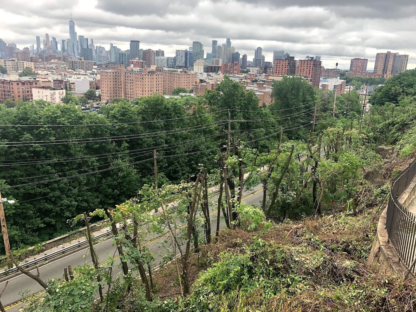 Topped trees below Riverview Park